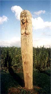 Die "Waldrapunzel"